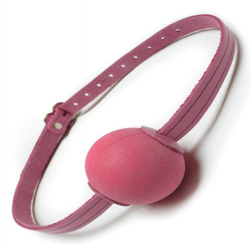 Pink Ball Gag