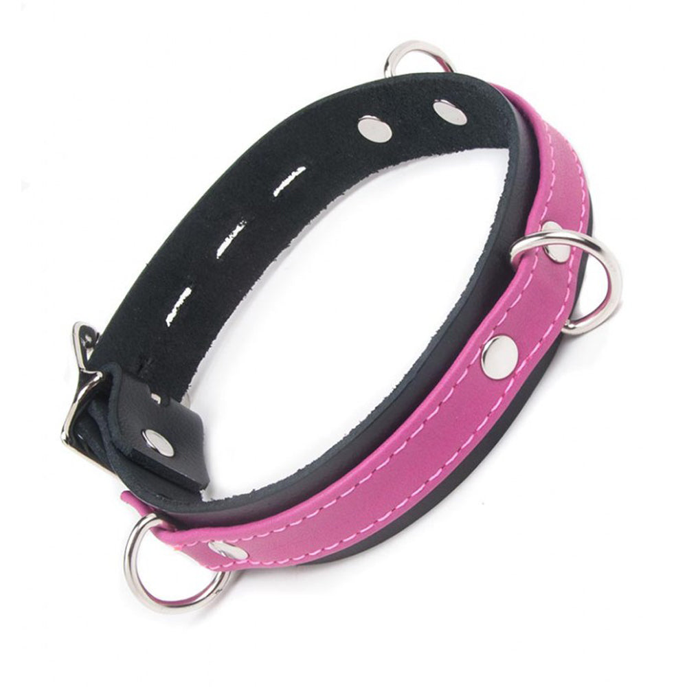 Locking Buckle Collar